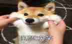 笑为的精彩演讲稿5篇