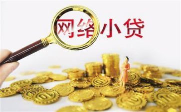 小贷公司日工作总结8篇