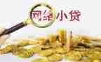 小贷公司日工作总结8篇