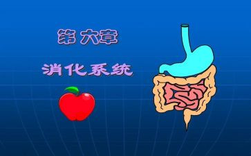 消化内科的自我鉴定6篇