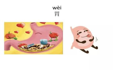 消化内科自我鉴定精选7篇