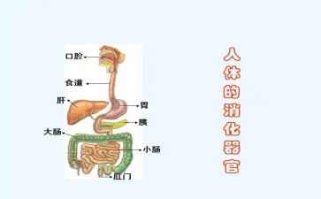 内科消化自我鉴定7篇