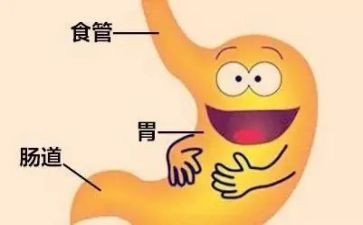 消化内科自我鉴定6篇