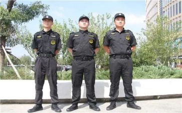 小区保安的个人总结6篇