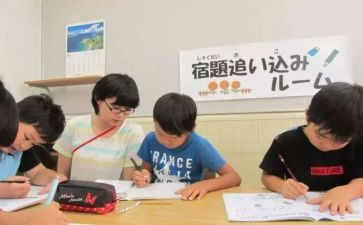 小学作业调查报告8篇