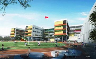 校园欺演讲稿精选5篇