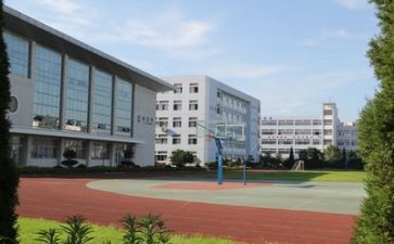 校园情作文600字作文最新8篇