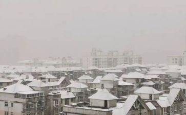 作文下雪了300字7篇
