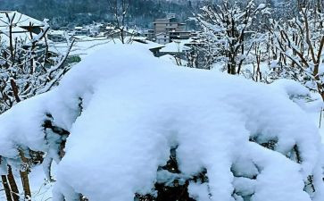 下雪做作文7篇