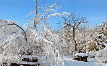 下雪做作文模板7篇