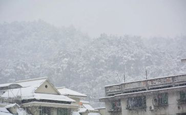 下雪做作文精选5篇