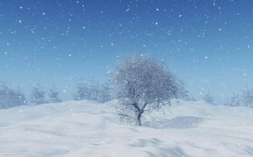 下雪做作文参考5篇