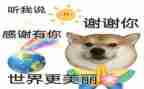 谢谢老师作文800字5篇