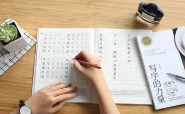 小学写作教学计划7篇