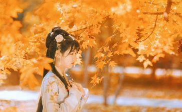 留在我心底的风景700字作文6篇