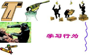 00后消费行为调查报告6篇