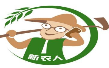 新农村建设工作报告8篇