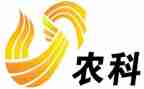 新农村的调查报告模板7篇