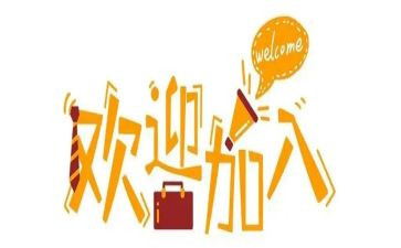新人入职前个人总结6篇