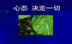 积极心态演讲稿7篇