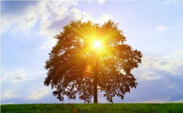 树立信心作文6篇