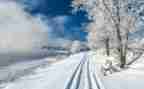 雪房子教案及反思5篇