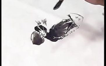 国画树的教案6篇