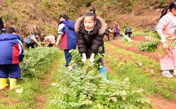小学农村工作总结范文8篇