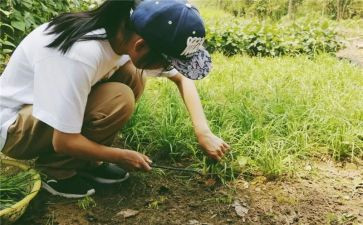 高二学农心得体会5篇