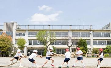 学生工作计划范文参考7篇