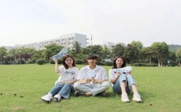 学生会工作总结个人总结精选5篇