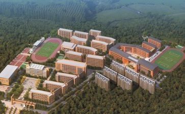 学校篮球工作总结5篇
