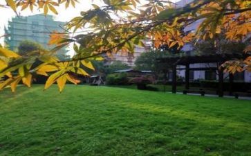 学校年度工作个人总结优秀7篇