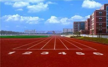 学校生活节活动方案6篇