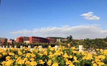 学校教师工作计划优秀6篇