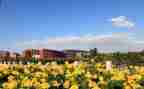 学校教师工作计划优秀6篇