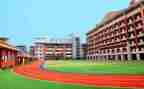 学校个人述职报告模板6篇