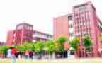 学校安全半年工作总结8篇