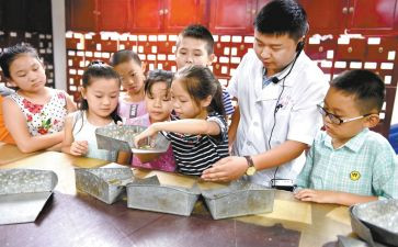 小学艺术教育总结7篇