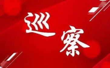 巡察工作工作总结5篇