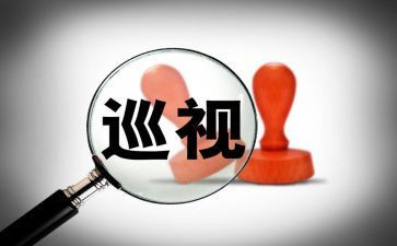 巡查村工作总结6篇