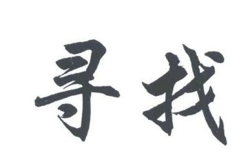 寻访心得体会6篇