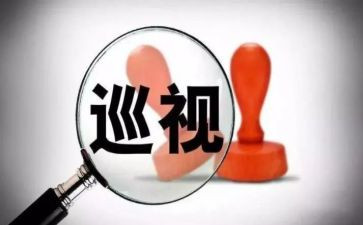 巡视办工作总结6篇