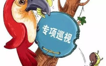 参加巡视工作心得体会5篇