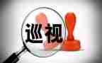 巡视办工作总结6篇