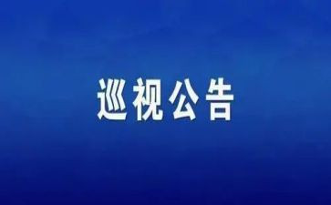 汇报巡视组工作总结6篇
