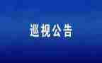 汇报巡视组工作总结6篇