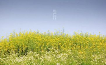 中考满分写人叙事作文5篇