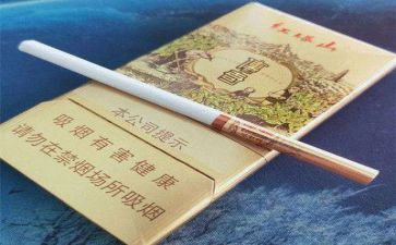 烟站长述职报告5篇