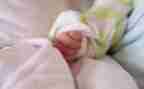 幼儿园蚕宝宝语言教案6篇